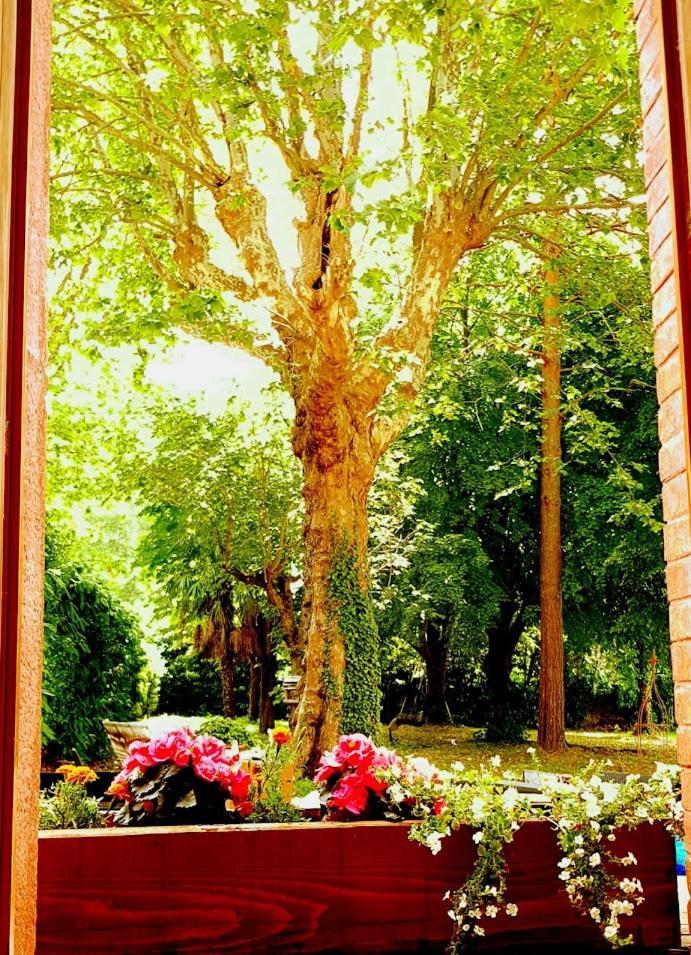 La Scierie Bed & Breakfast Quillan Luaran gambar